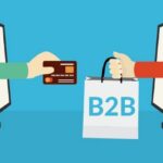 B2B eCommerce Business